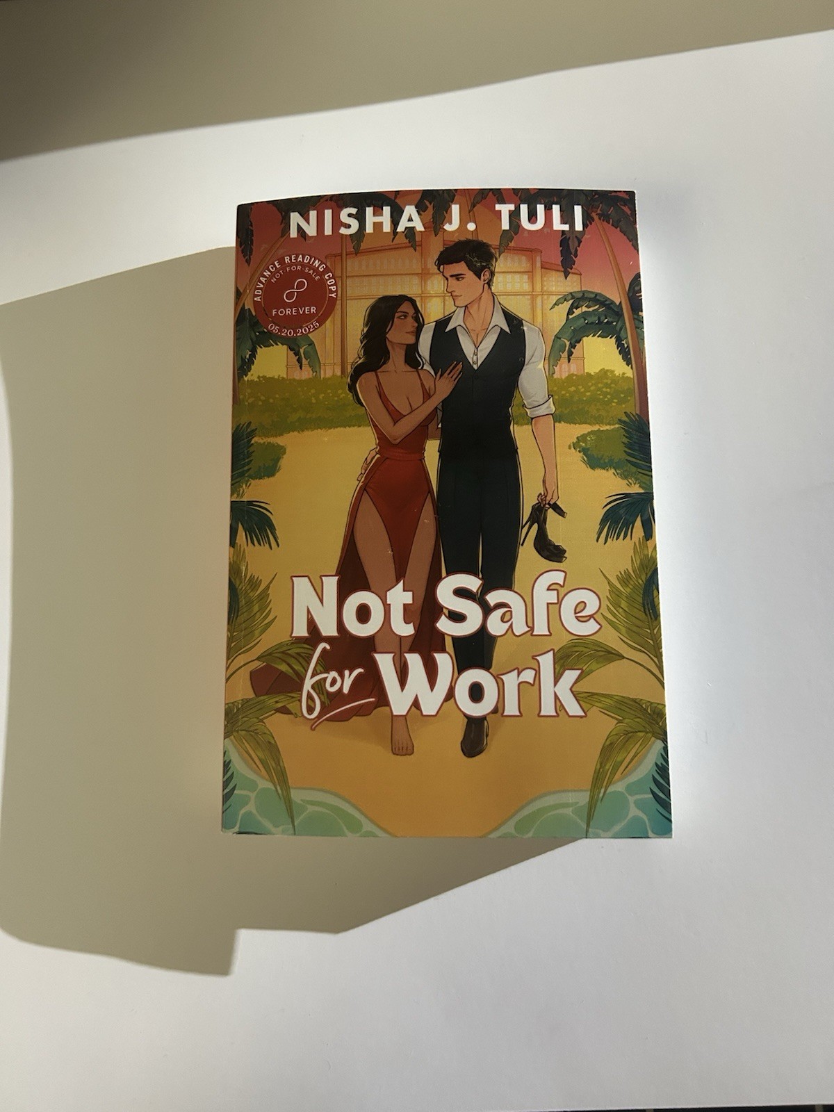 Not Safe for Work by Nisha J. Tuli ARC