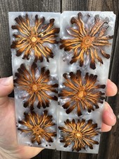 Stabilized Magnolia Pod Hybrid Resin - Knife Scales