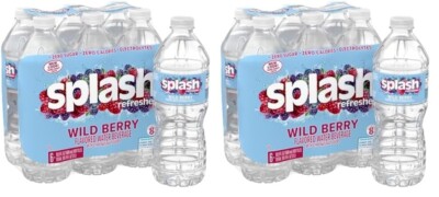 Splash Refresher Wild Berry Flavored Water, 16.9 Fl Oz Plastic Bottle Pack of 12