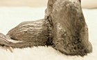 Bild 8 von 8