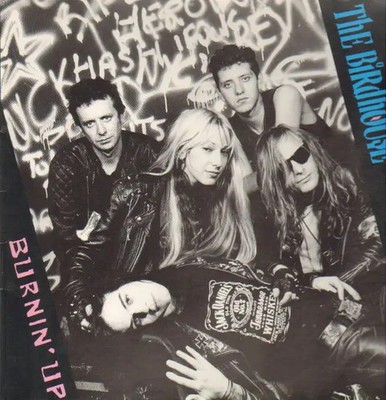 The Birdhouse Burnin Up Glitterhouse Vinyl LP