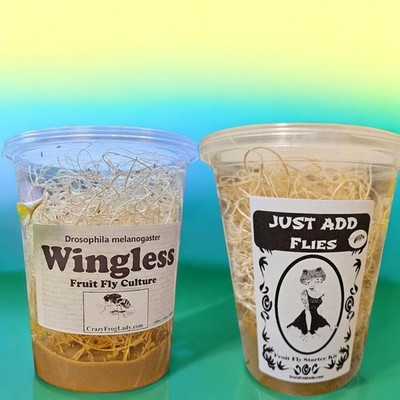 Wingless Fruit Fly Culture + 1 Just Add Flies for Dart Frog Food Reptile Food