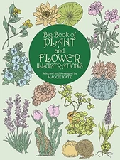 Big Book of Plant and Flower Illustrations (Dover Pictorial Archive) - GOOD