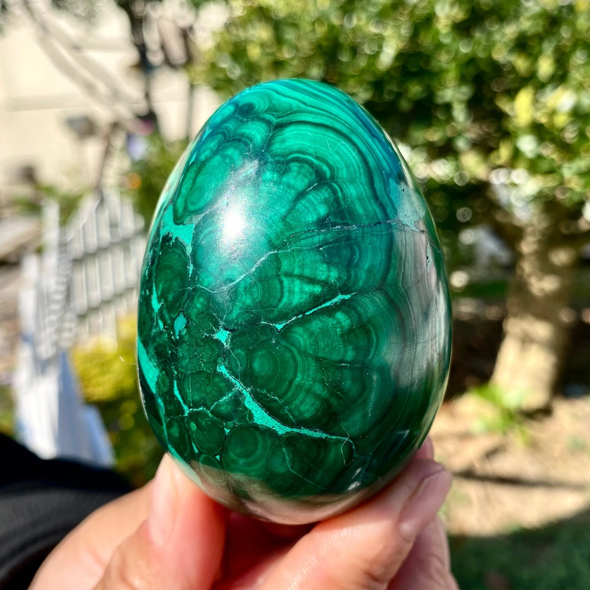 malachite egg products for sale | eBay