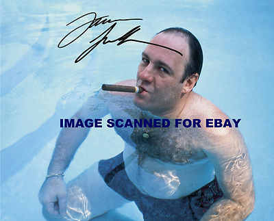 Photo James Gandolfini (Les Soprano) - Réimpression Signée - Taille 8x11 - #2