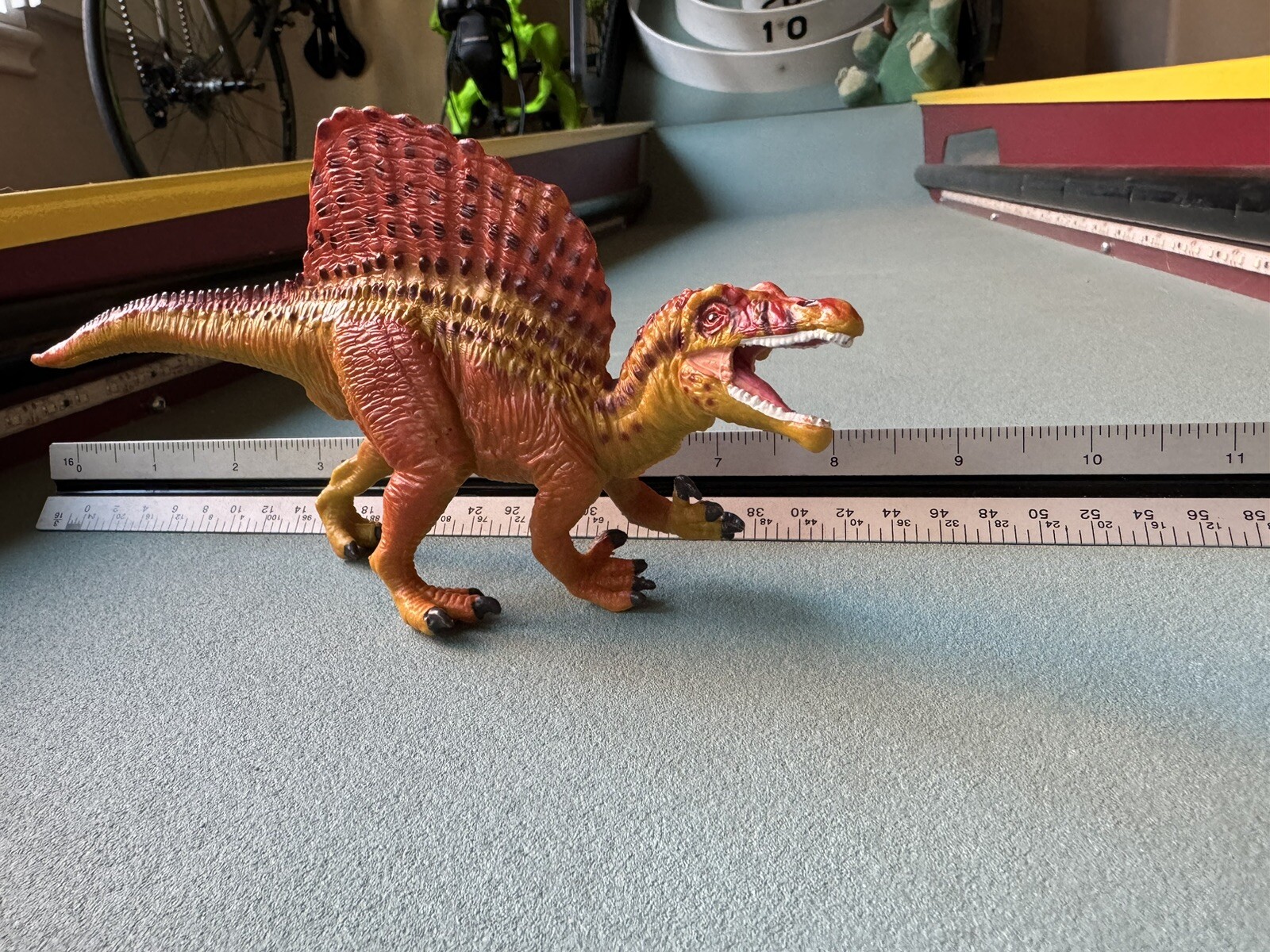 Picture 9 of 10