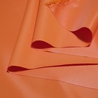 Photo 67/233
