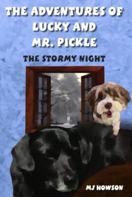 Howson - Die Abenteuer von Glück und Mr. Pickle Die stürmische Nacht - Ne - J555z