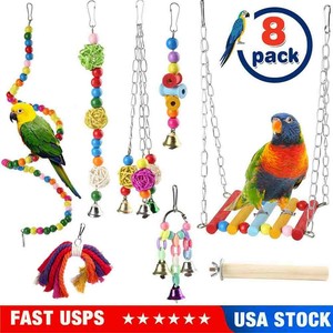 parakeet swing