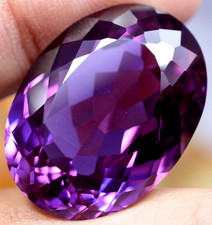  on The Hot Collector