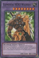 Elemental HERO Wildedge LCGX-EN049 Common Legendary Collection 2