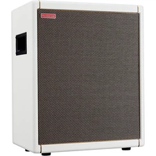 Positive Grid Spark CAB Powered FRFR Speaker Cab Pearl