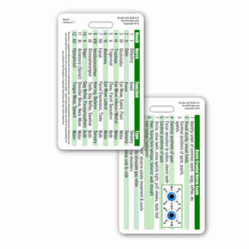 Insigne vertical nerfs crâniens carte d'identité infirmière de poche RN EMT MA ambulancier paramédical LPN - Photo 1/1