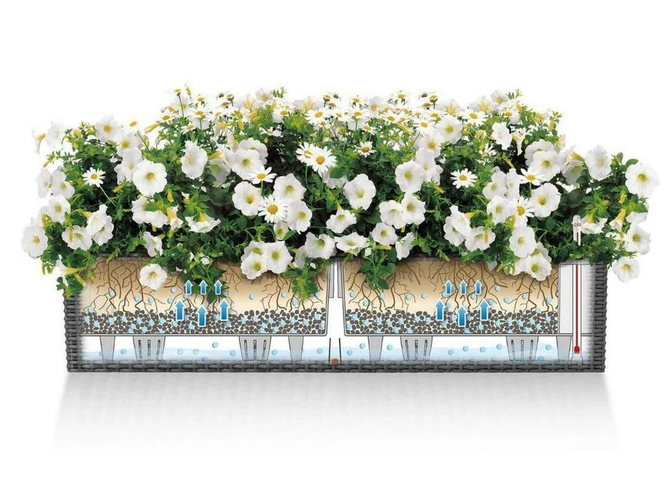 Window Box LECHUZA BALCONERA Cottage Self-watering Indoor and Outdoor Planter - Image 2 of 4