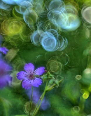 Sony E Fit Helios 44M Objektiv mit Trioplan Mod Exaggerated Bubble Bokeh Effekt