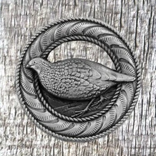 Animal Wildlife Quail Concho CON208-A-AN