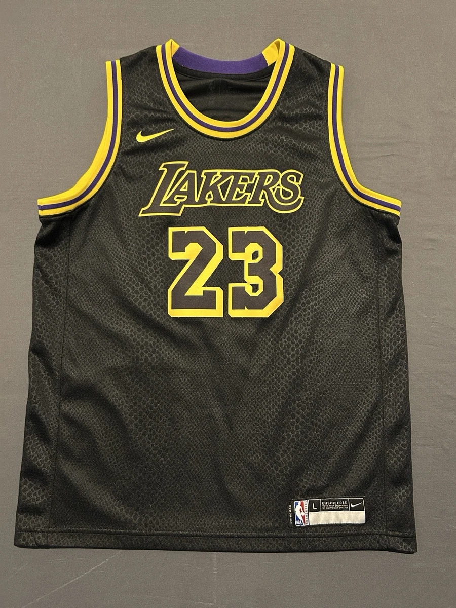 Preços baixos em Camisas Nike Los Angeles Lakers NBA | eBay