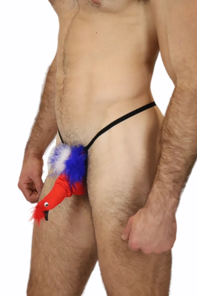 Para Hombres Sexy Creativo Dibujos Animados Pájaro Hongs Breve Disfraz Ropa Interior Foto 3 de 4