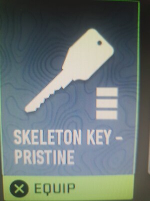 5 X SKELETON KEY DMZ / One Drop / In-Game