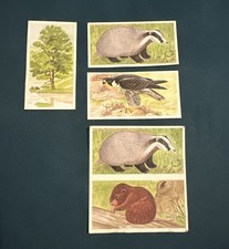 Brooke Bond Tea Cards A Journey Downstream X 5