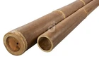 Black Bamboo Poles Cane Bamboo Stange Pravista Fence Pipe Insert