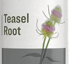 TEASEL ROOT - Healthy Circulation Bone Joint & Lyme Disease Support Tincture USA