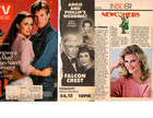 FALCON CREST tv show 80 clippings pages lot Robert Foxworth-Billy Moses — photo 3
