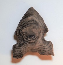 Authentic Modern Reproduction of Pre 1600 Colorado Flint Arrowhead Made in USA