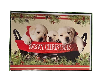 EXPRESSIVE DESIGN GROUP, INC. Yellow Labrador Puppies - Premium Boxed Holiday Cards - 18ct.