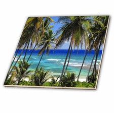 3dRose Tropical Palm Trees Blue Ocean Ceramic Tile 4-Inch