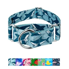 Country Brook Petz - HossFit Jr Wide Martingale Dog Collar