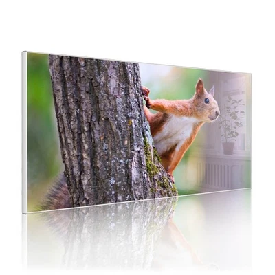 banjado Design Magnettafel beschreibbar und magnetische Pinnwand Eichhörnchen - Bild 1 von 4