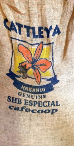 Costa Rica Naranjo Cattleya SHB Especial Rainforest Alliance Whole Coffee Beans - Picture 2 of 7