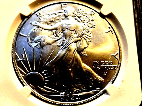WEST POINT SILVER EAGLE 2024 FIRST RELEASE NGC MS69 A REAL BEAUTY!!