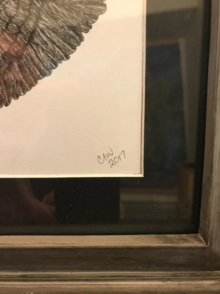 Framed and Matted Bald Eagle Pen and Ink Drawing, Original Artwork, Signed - Image 4 of 4