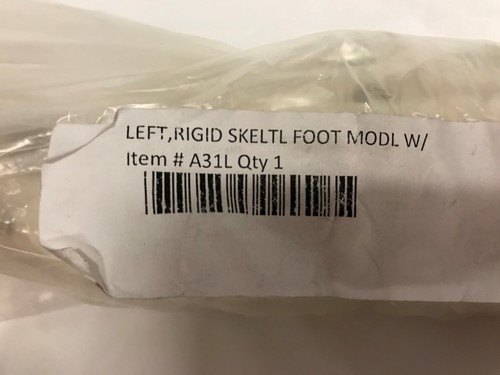 Anatomical Skeleton Foot A31L Left Rigid w/ Wire Tibia Fibula 3B Scientific New - Picture 11 of 12