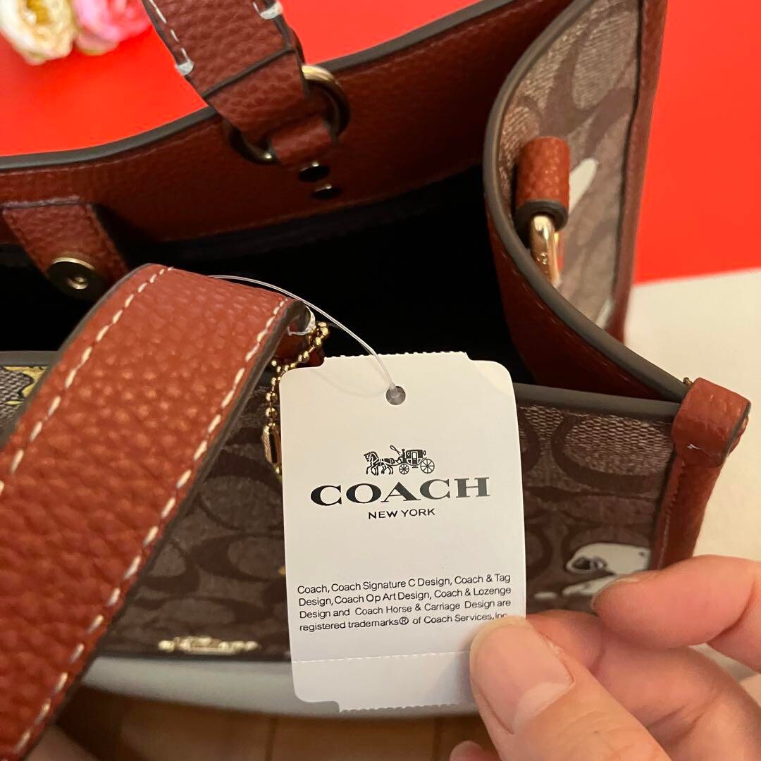 COACH x Peanuts Shoulder Tote Bag Dempsey Carryall Snoopy