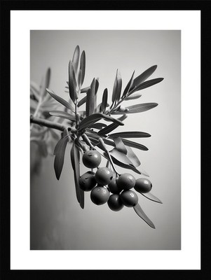 Moody Olive Branches Framed Wall Art Poster Canvas Print Picture