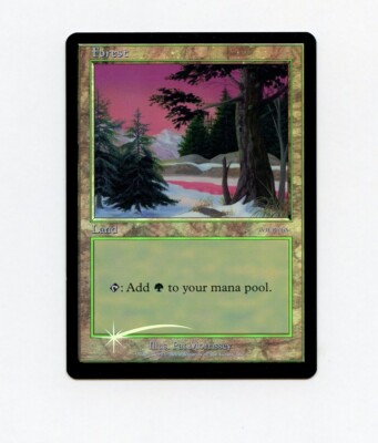 MTG 【USG】　Forrest アリーナfoil サインド Forest Arena land FOIL LP Magic the Gathering MtG a | eBay