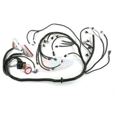 LS Swap Standalone Wiring Harness 97-06 LS1 DBC Engine T-56 Manual TH-350 TH-400
