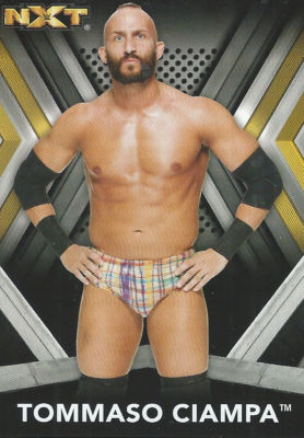 Tommaso Ciampa 2017 WWE NXT Trading Card #32