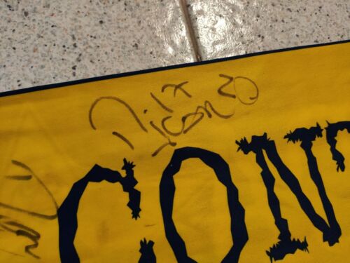 SCIARPA MODENA TORCIDA GIALLOBLU 2002 CON AUTOGRAFI ECHARPE BUFANDA ULTRAS - Foto 6 di 6