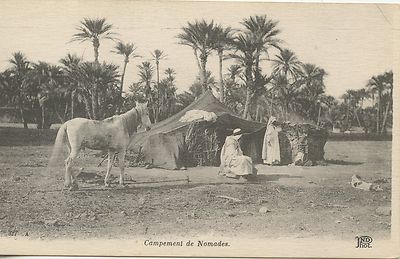  AK / POSTKARTE / ALGERIEN / NOMADENLAGER / PFERD