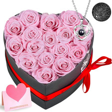 Extra Large 16 Preserved Roses Forever Flower Heart Shape Box with Necklace,Vale