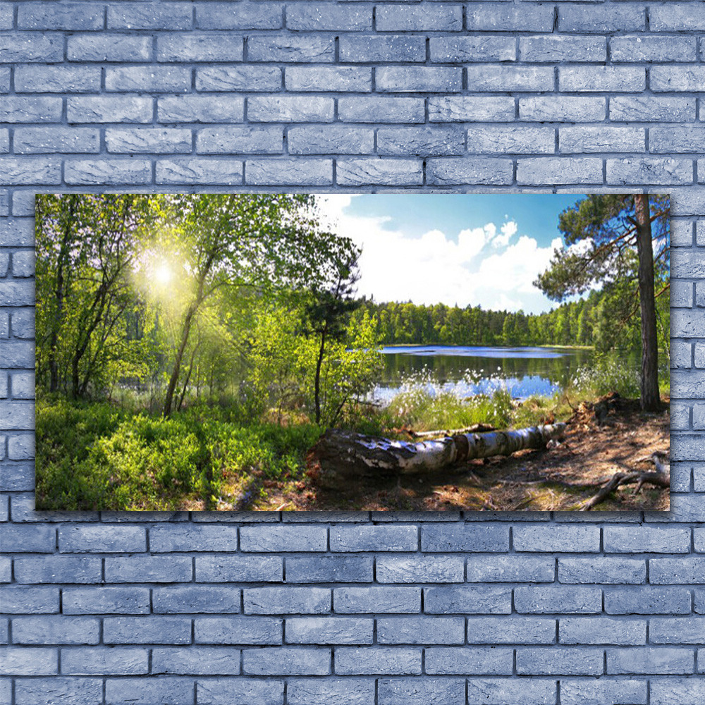 Photo sur toile 140x70 pour habiller un grand mur vide avec un paysage de lac apaisant
