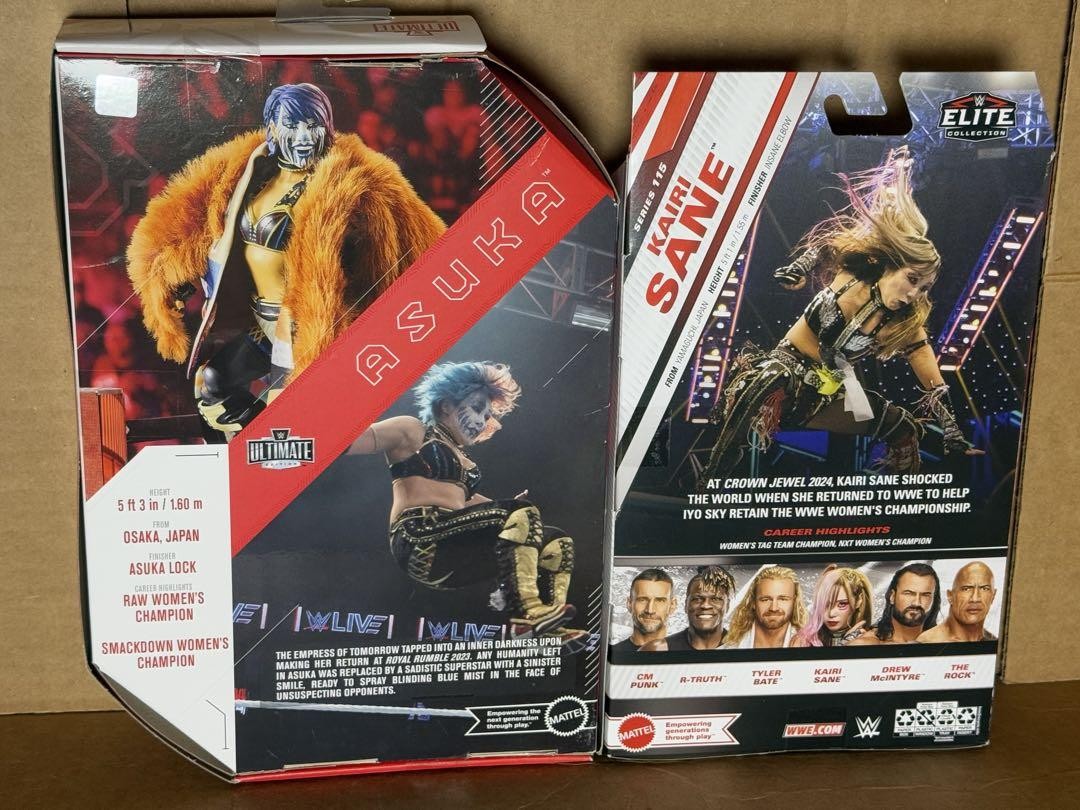 WWE Asuka Kairi Figure Stardom Pro Wrestling Merchandise