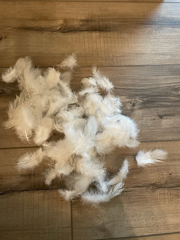 White Guinea Fowl Feathers For Fashion Crafts Home Decor - Image 4 of 4