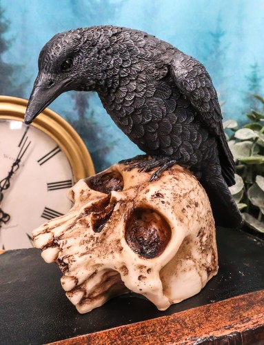 Foreboding Dark Crow Raven On Skull Statue 5"Tall Ossuary Scavenger Raven Bird - Picture 9 of 10