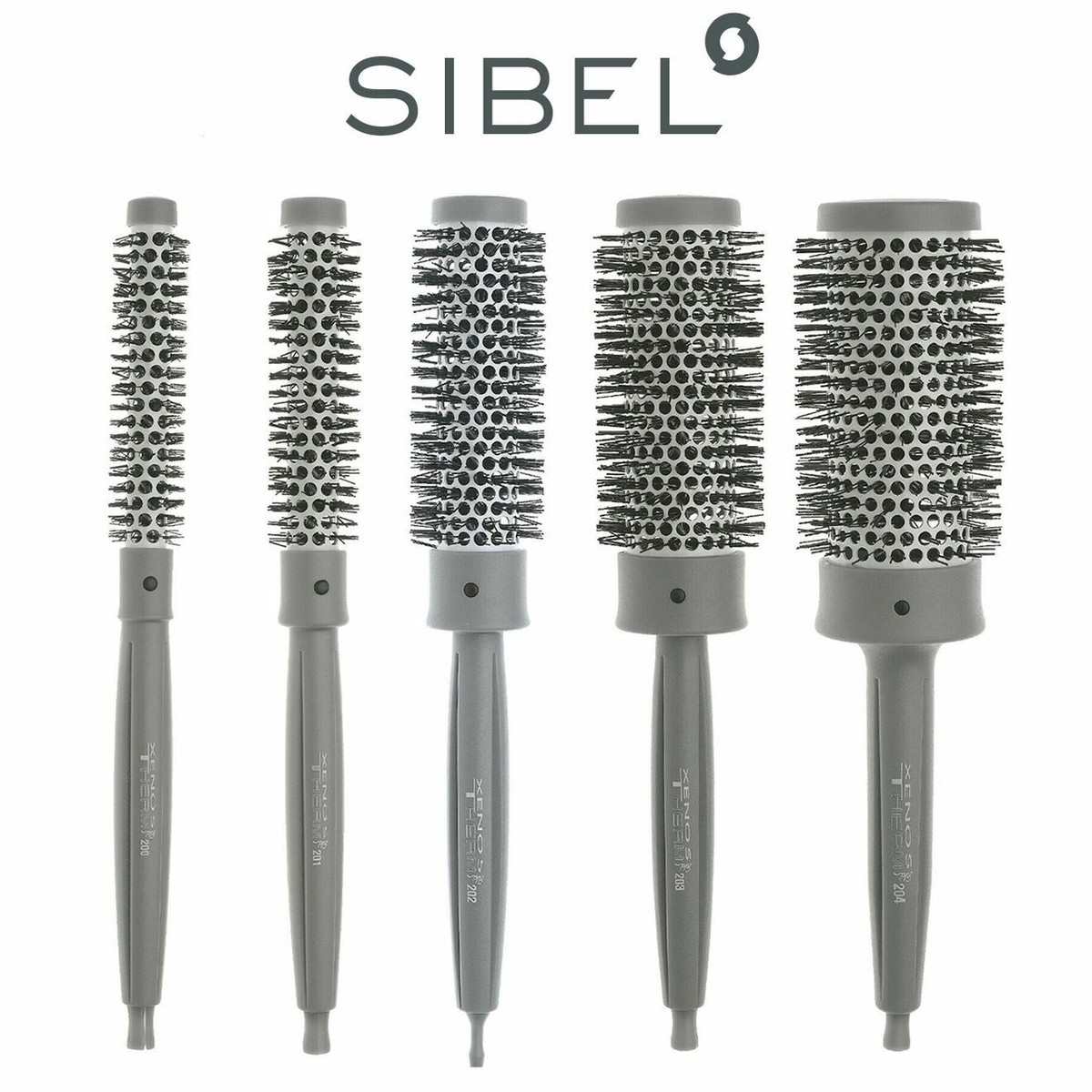 Sibel