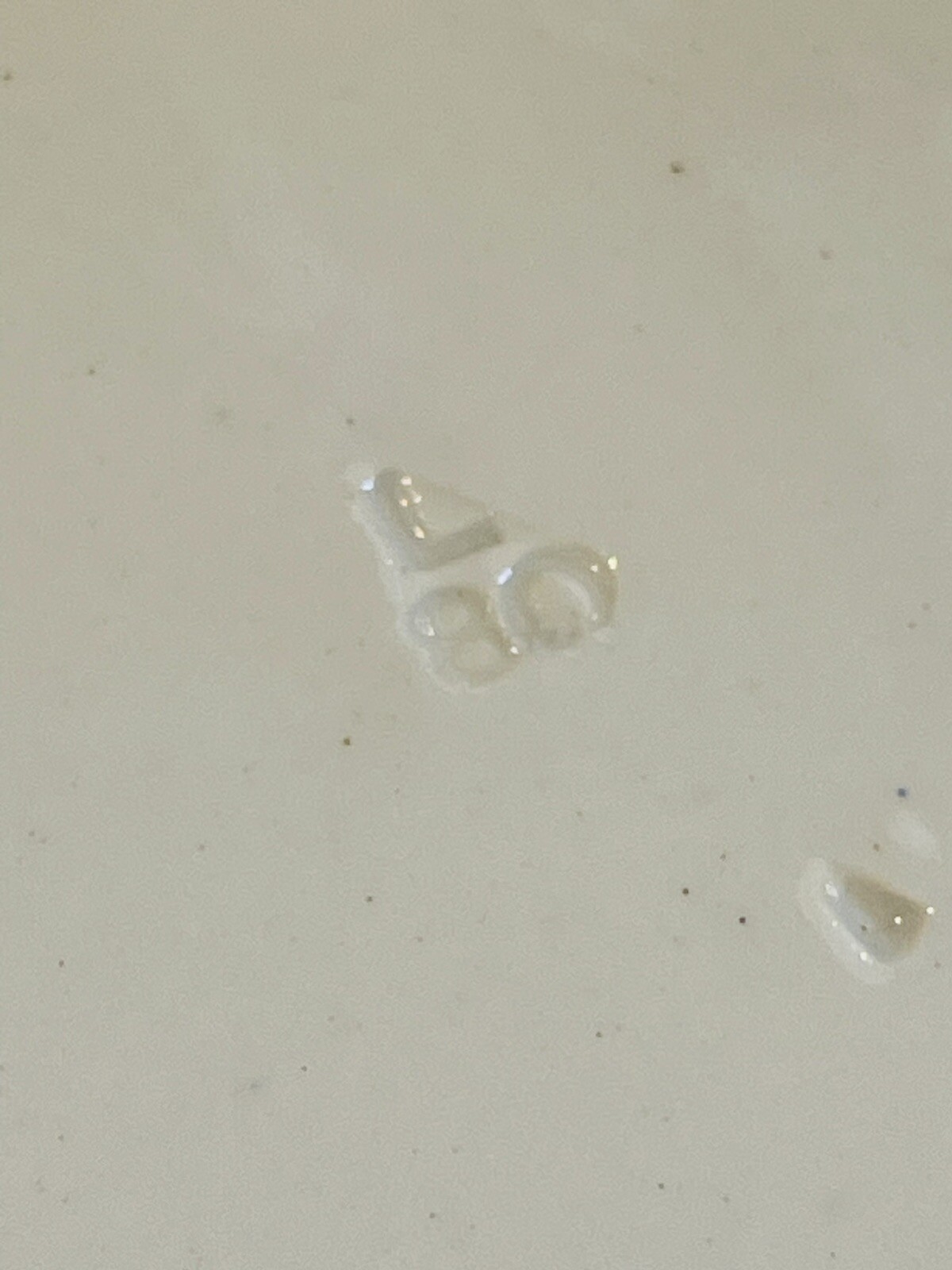 Picture 6 of 8